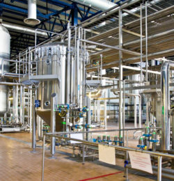 In Turkey amount of breweries increased to 5