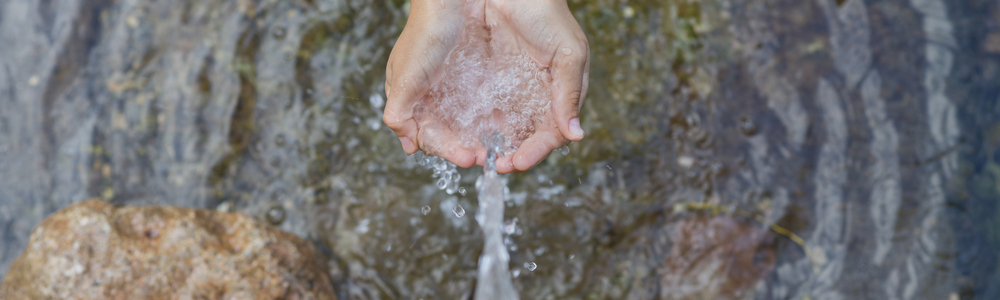 Water Stewardship